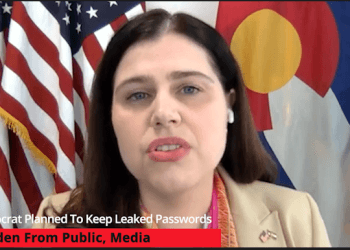 Democrat Planned To Keep Leaked Election Passwords Hidden From Public, Media